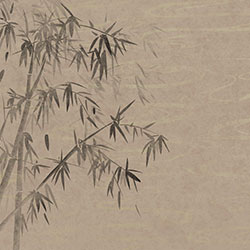 mural CG-NDC5249