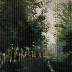 murals CG-NDC5223