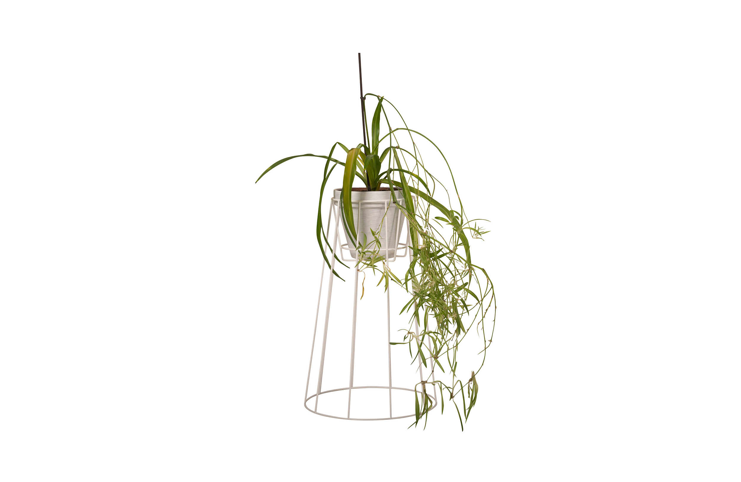 篮球比赛下注平台 - 附件|花器|办公家具|设计师家具|西布莉植物架