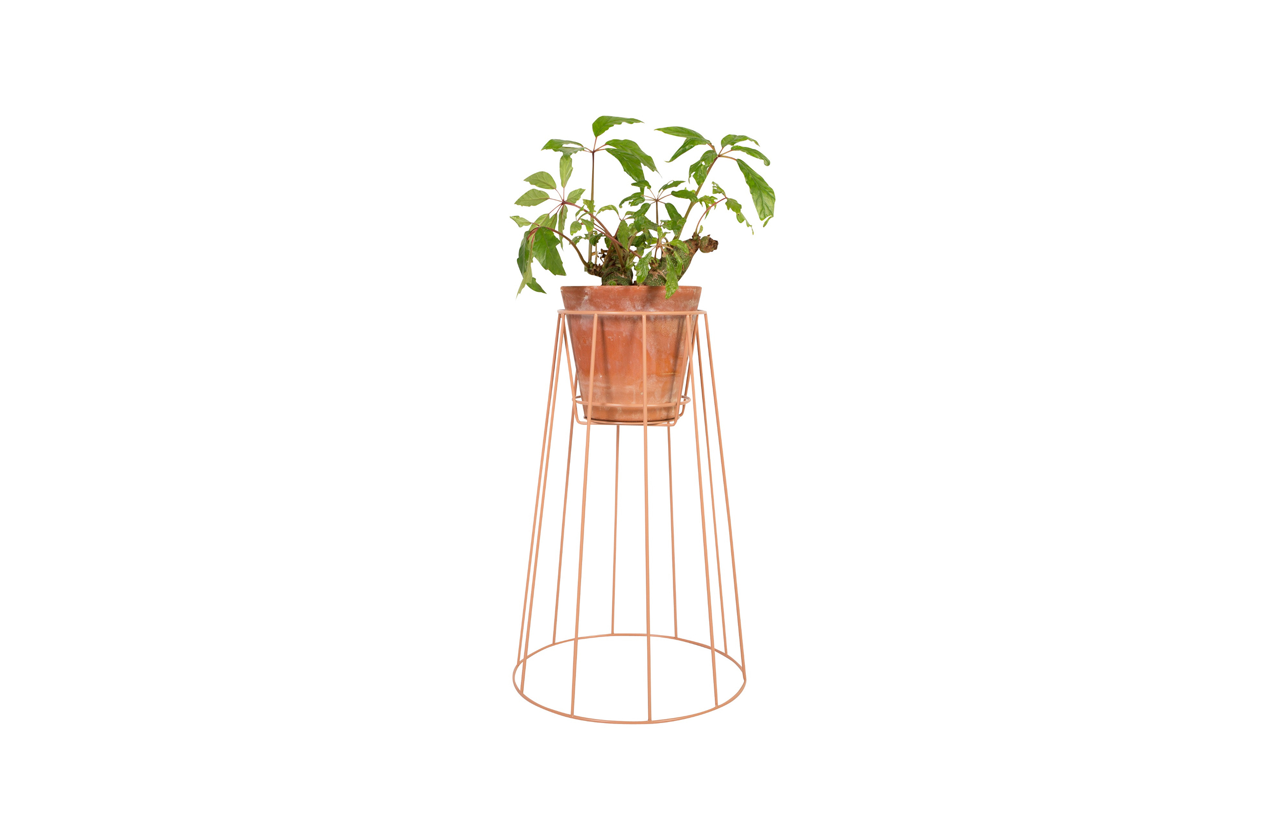 篮球比赛下注平台 - 附件|花器|办公家具|设计师家具|西布莉植物架