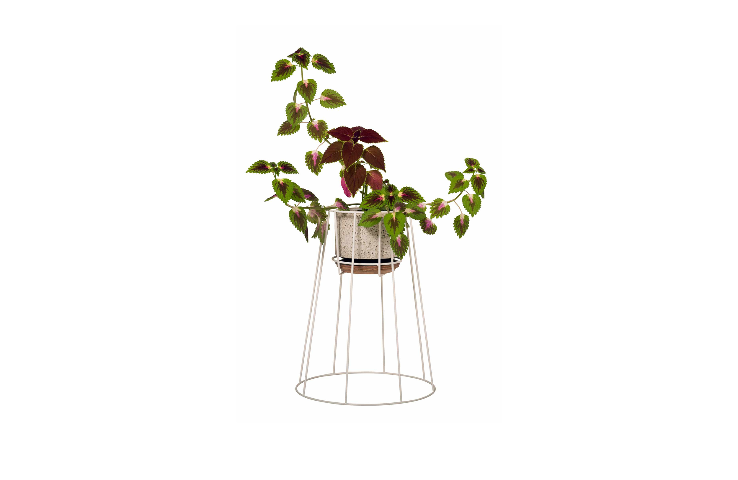 篮球比赛下注平台 - 附件|花器|办公家具|设计师家具|西布莉植物架
