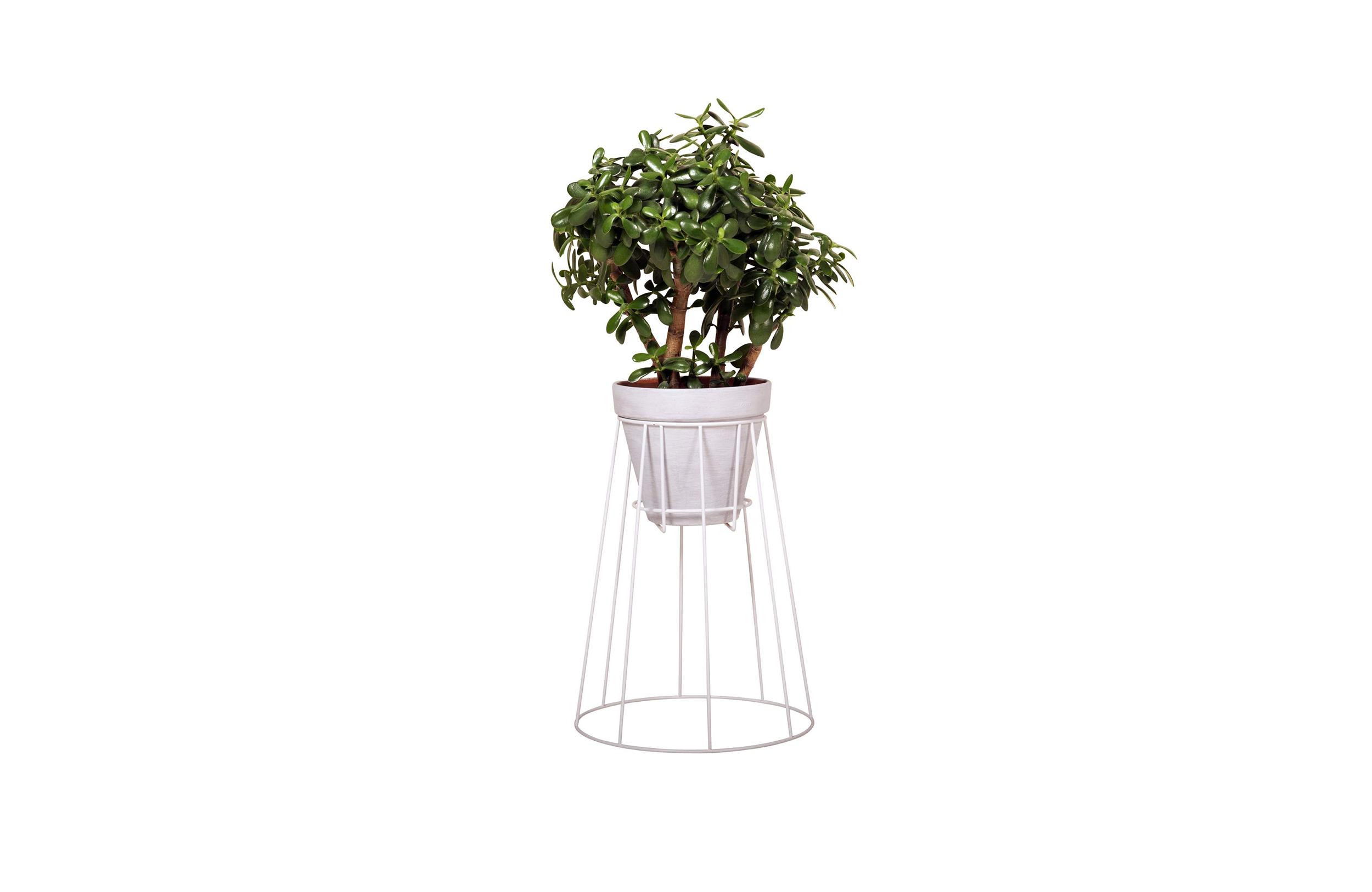 篮球比赛下注平台 - 附件|花器|办公家具|设计师家具|西布莉植物架