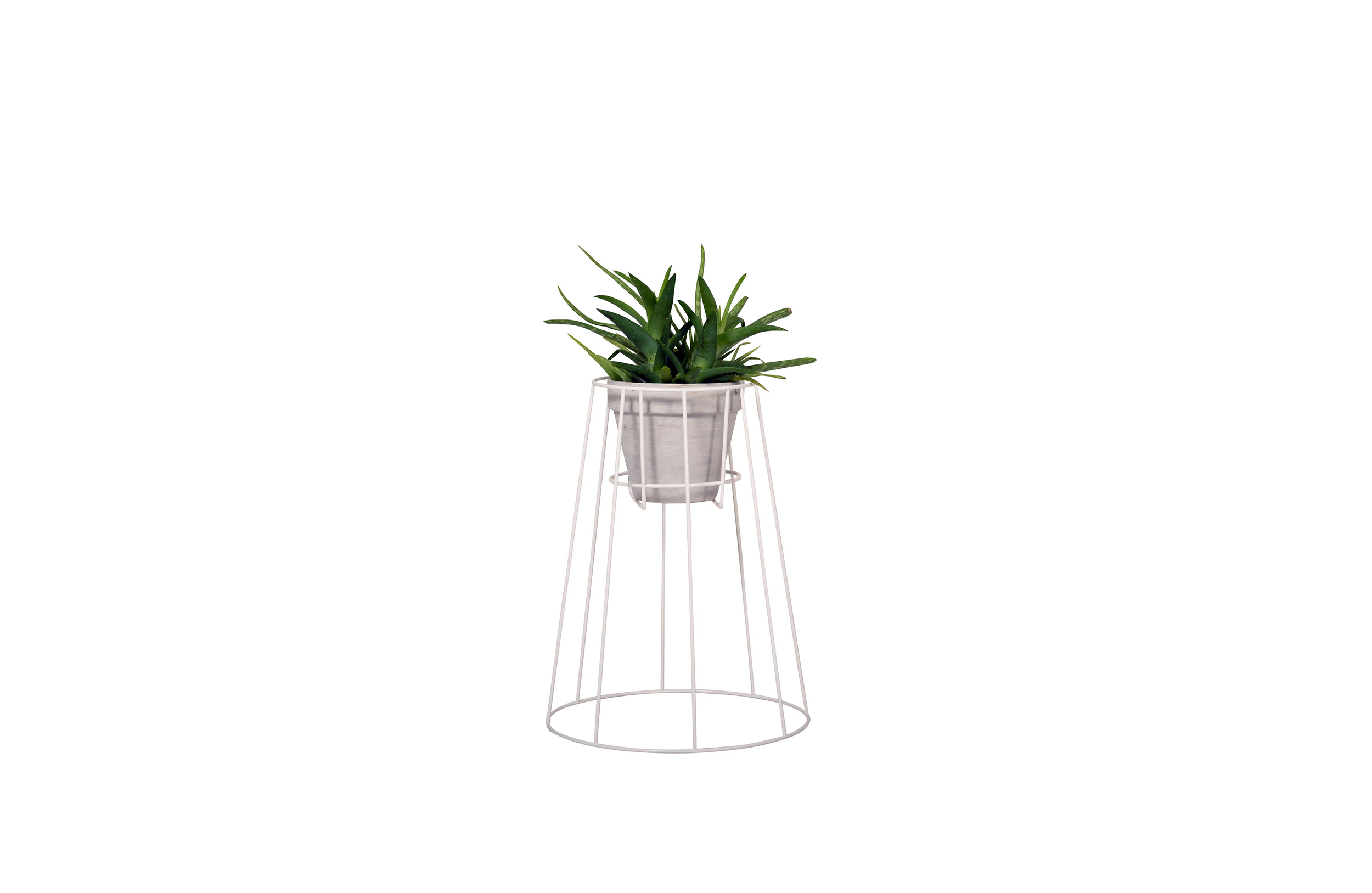 篮球比赛下注平台 - 附件|花器|办公家具|设计师家具|西布莉植物架