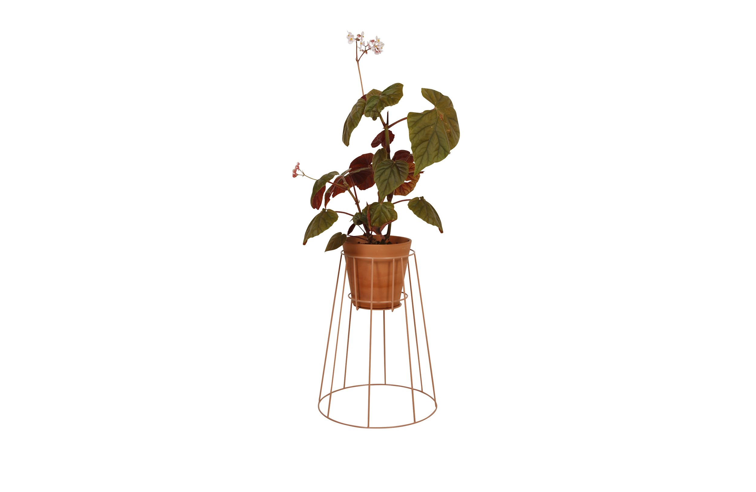 篮球比赛下注平台 - 附件|花器|办公家具|设计师家具|西布莉植物架