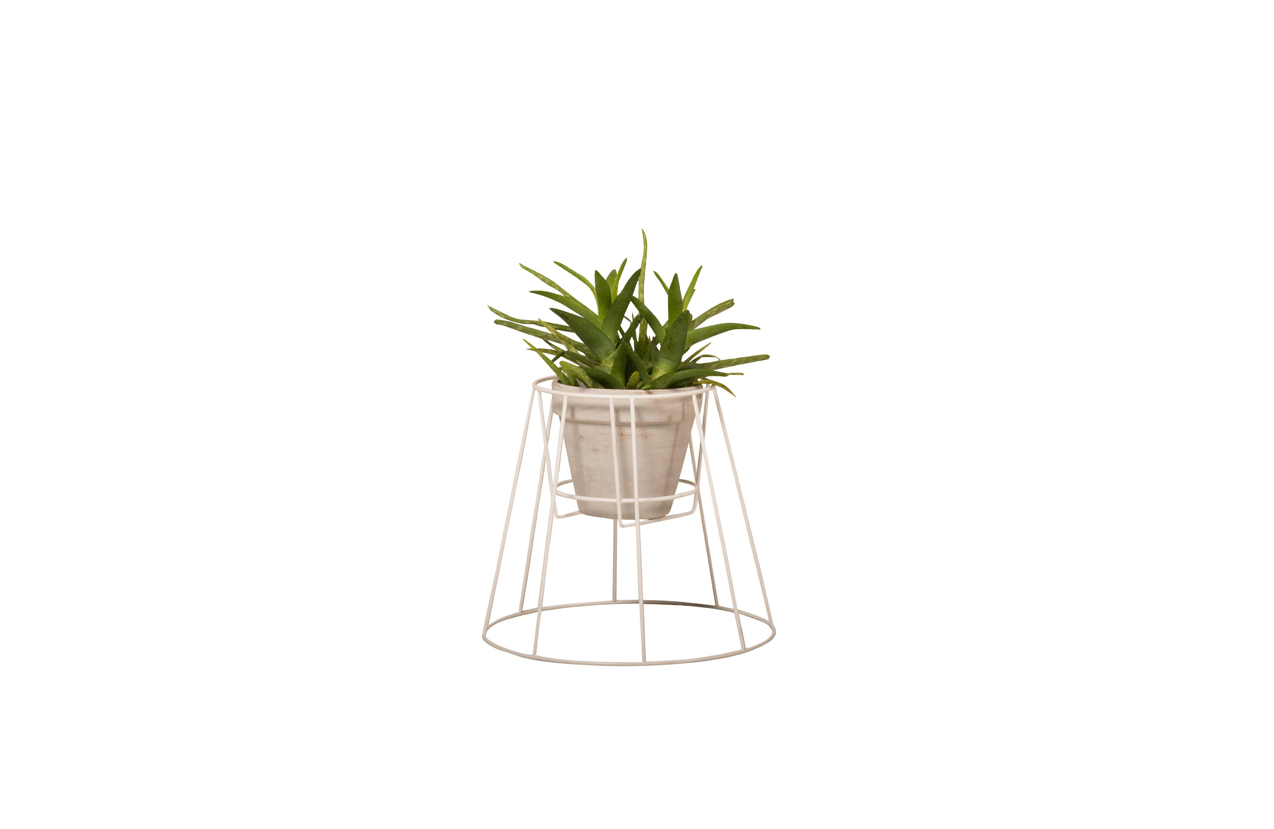 篮球比赛下注平台 - 附件|花器|办公家具|设计师家具|西布莉植物架
