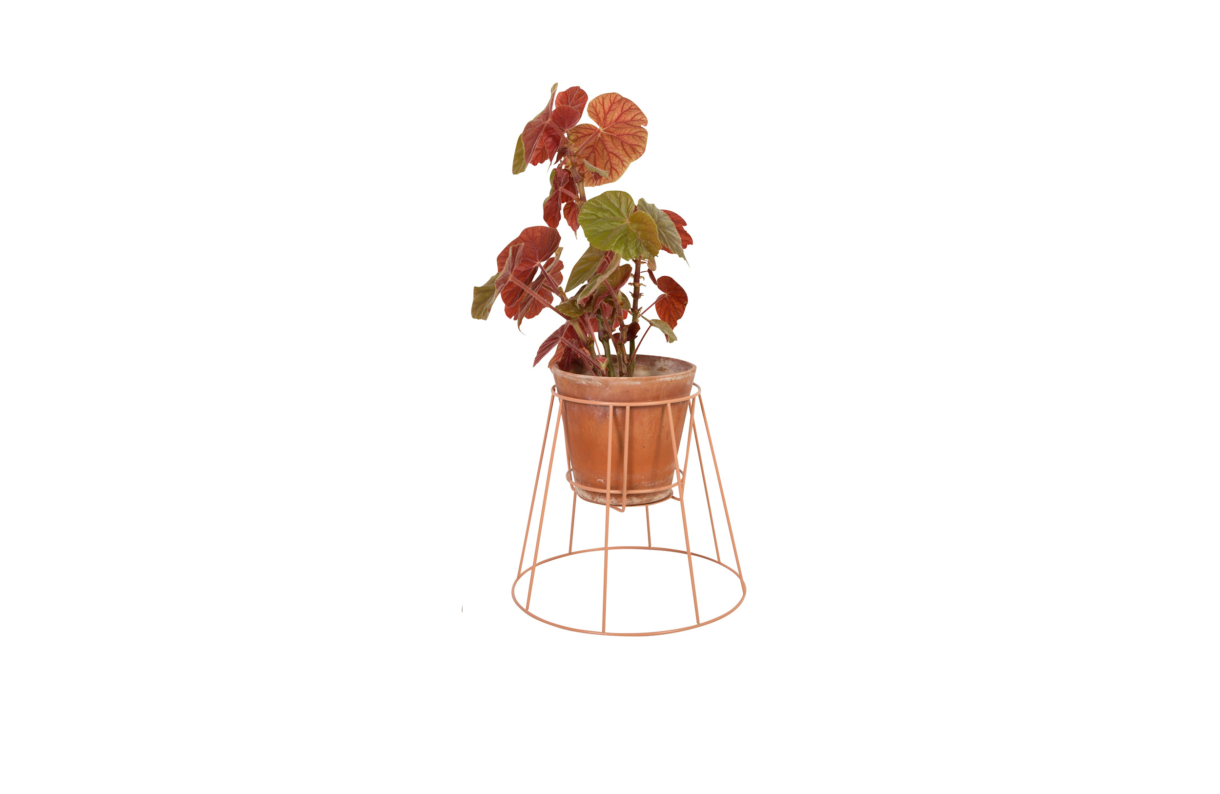 篮球比赛下注平台 - 附件|花器|办公家具|设计师家具|西布莉植物架