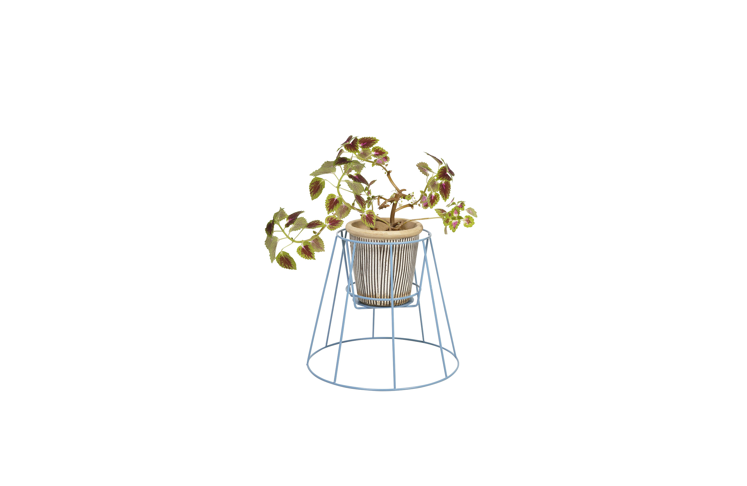 篮球比赛下注平台 - 附件|花器|办公家具|设计师家具|西布莉植物架