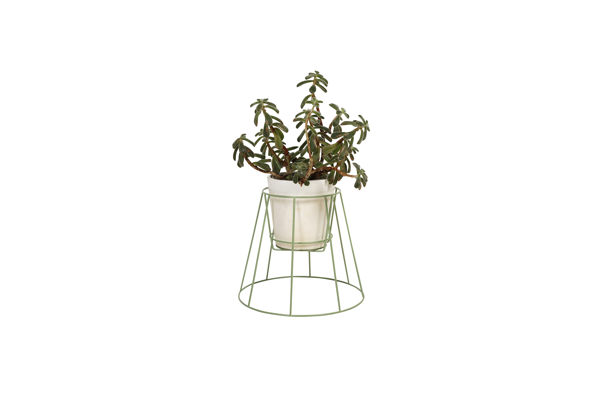 篮球比赛下注平台 - 附件|花器|办公家具|设计师家具|西布莉植物架