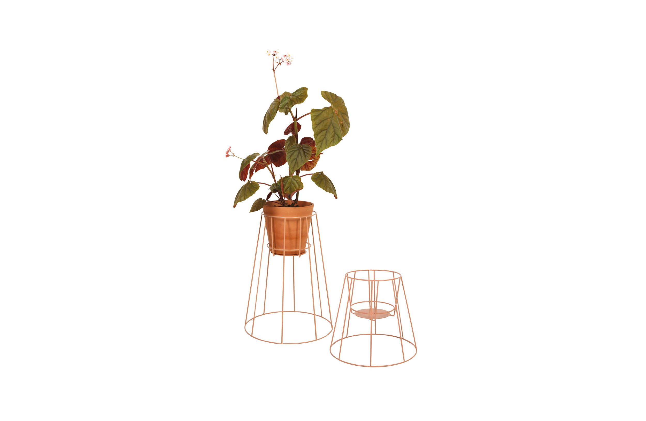 篮球比赛下注平台 - 附件|花器|办公家具|设计师家具|西布莉植物架