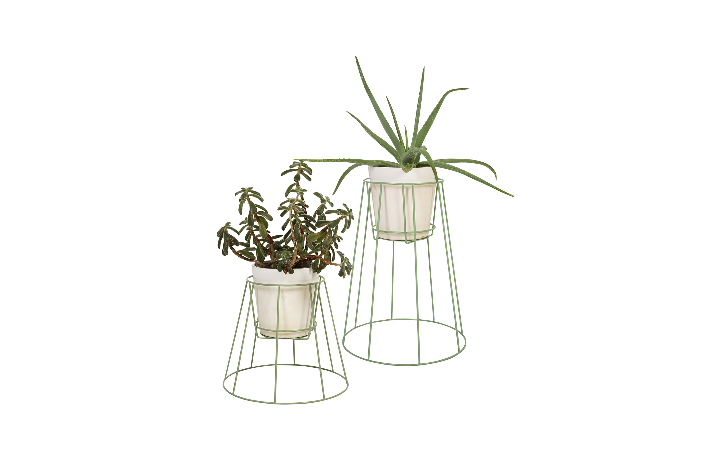 篮球比赛下注平台 - 附件|花器|办公家具|设计师家具|西布莉植物架