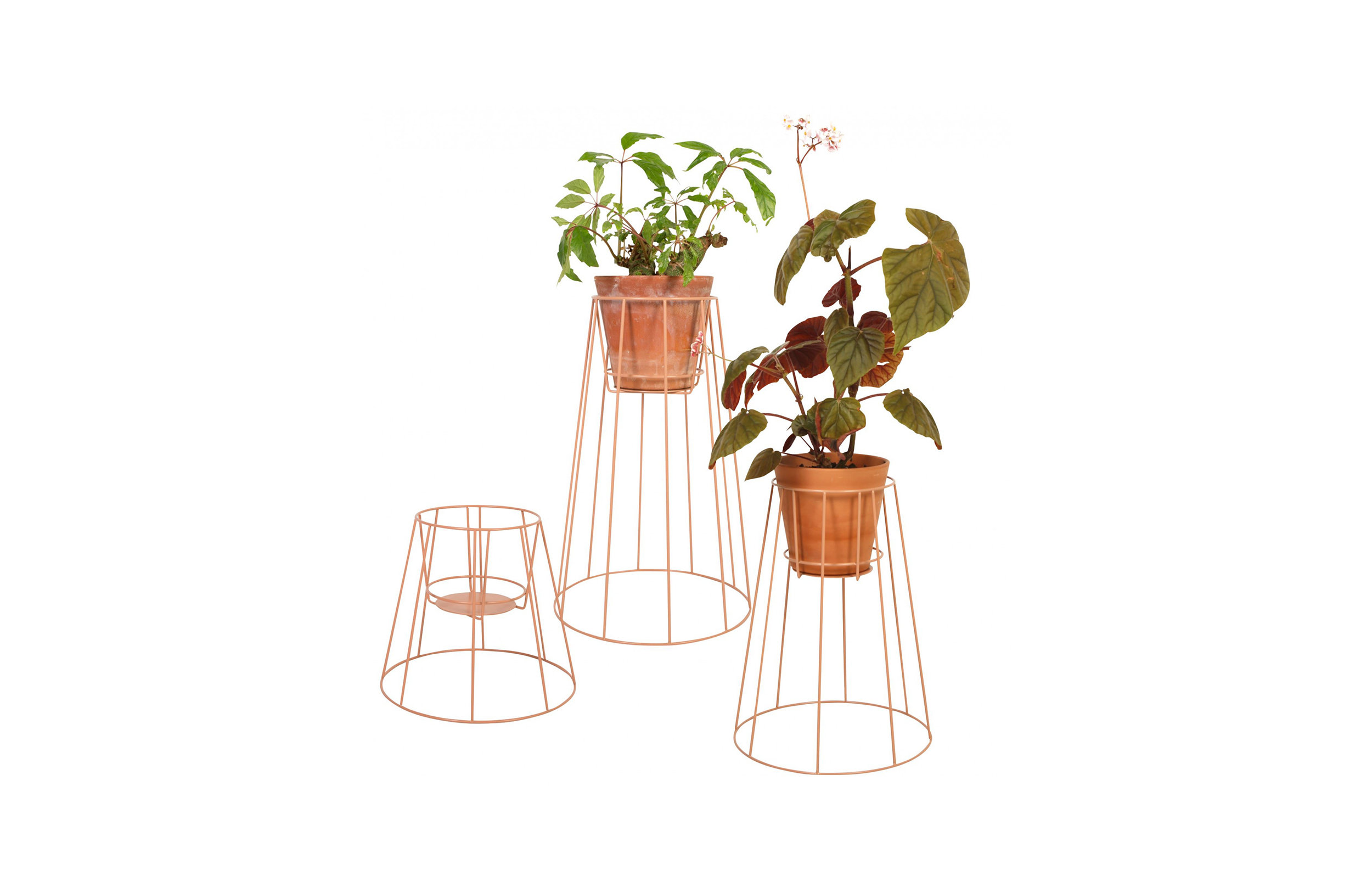 篮球比赛下注平台 - 附件|花器|办公家具|设计师家具|西布莉植物架