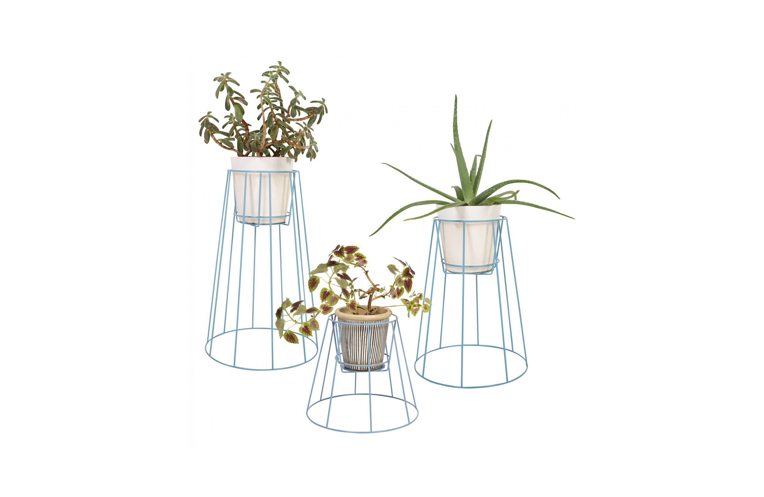 篮球比赛下注平台 - 附件|花器|办公家具|设计师家具|西布莉植物架