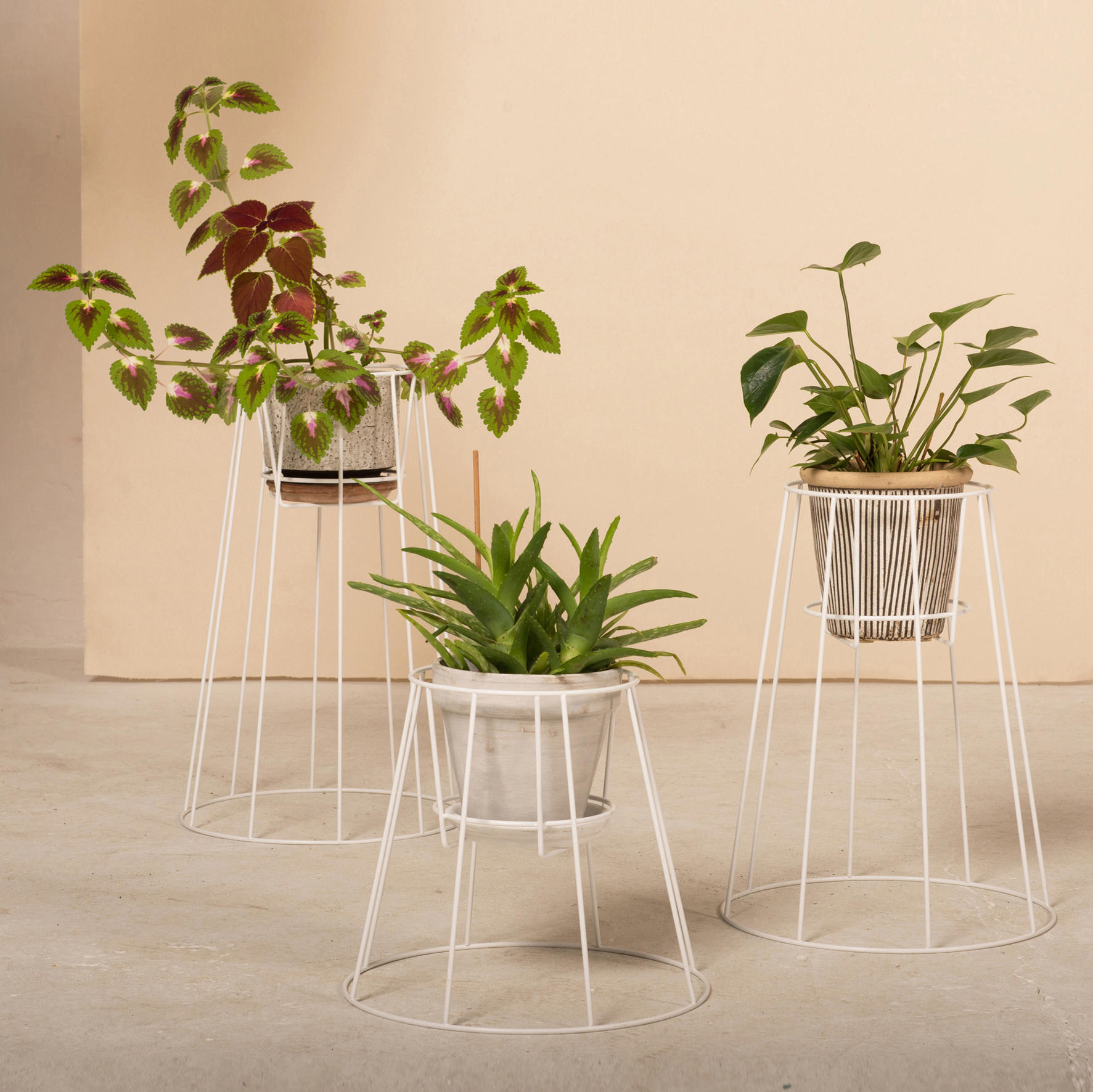 篮球比赛下注平台 - 附件|花器|办公家具|设计师家具|西布莉植物架