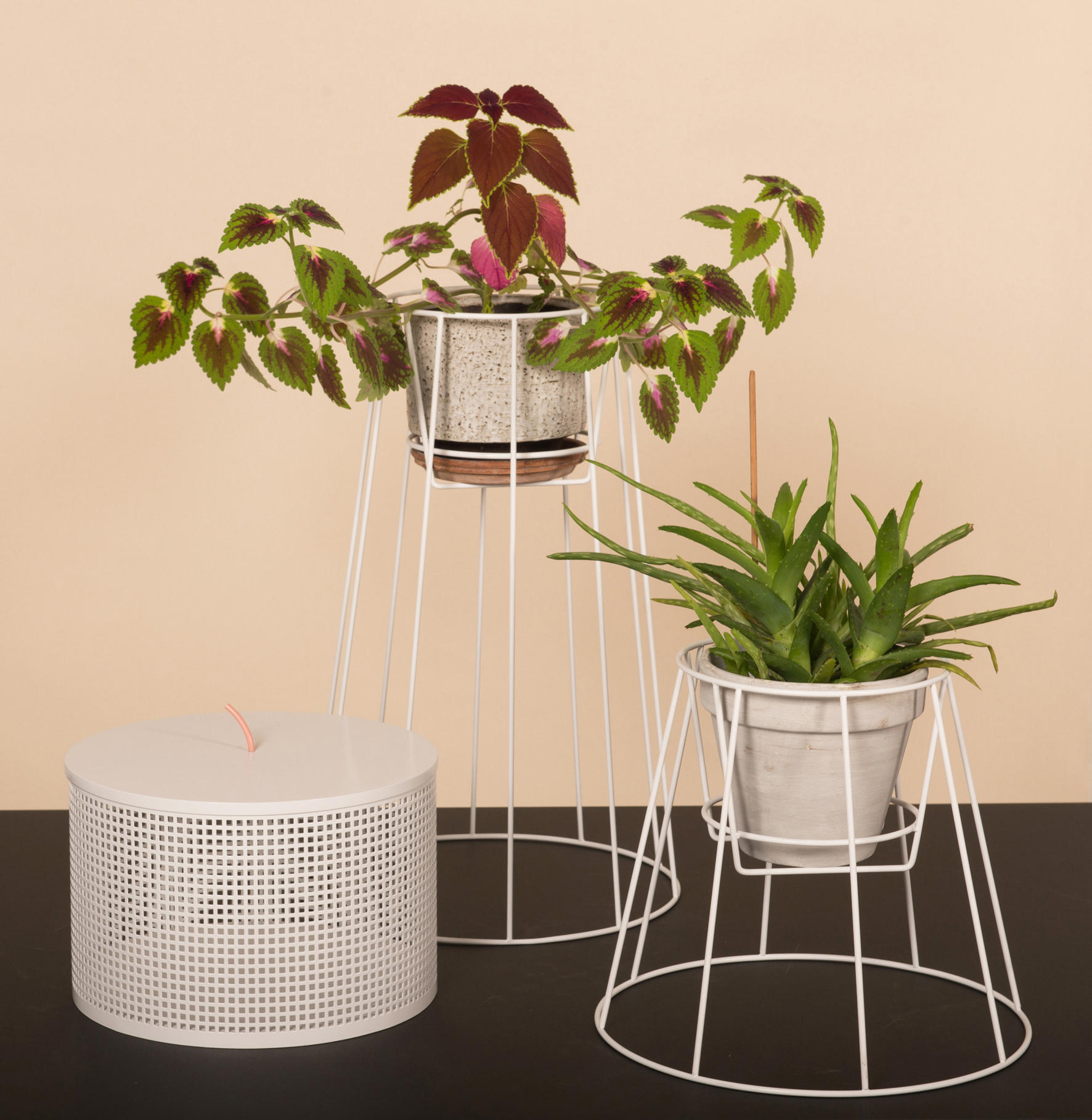 篮球比赛下注平台 - 附件|花器|办公家具|设计师家具|西布莉植物架