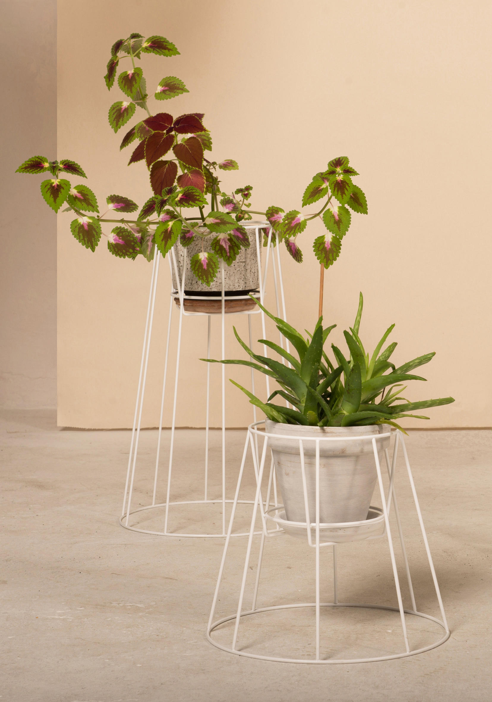 篮球比赛下注平台 - 附件|花器|办公家具|设计师家具|西布莉植物架