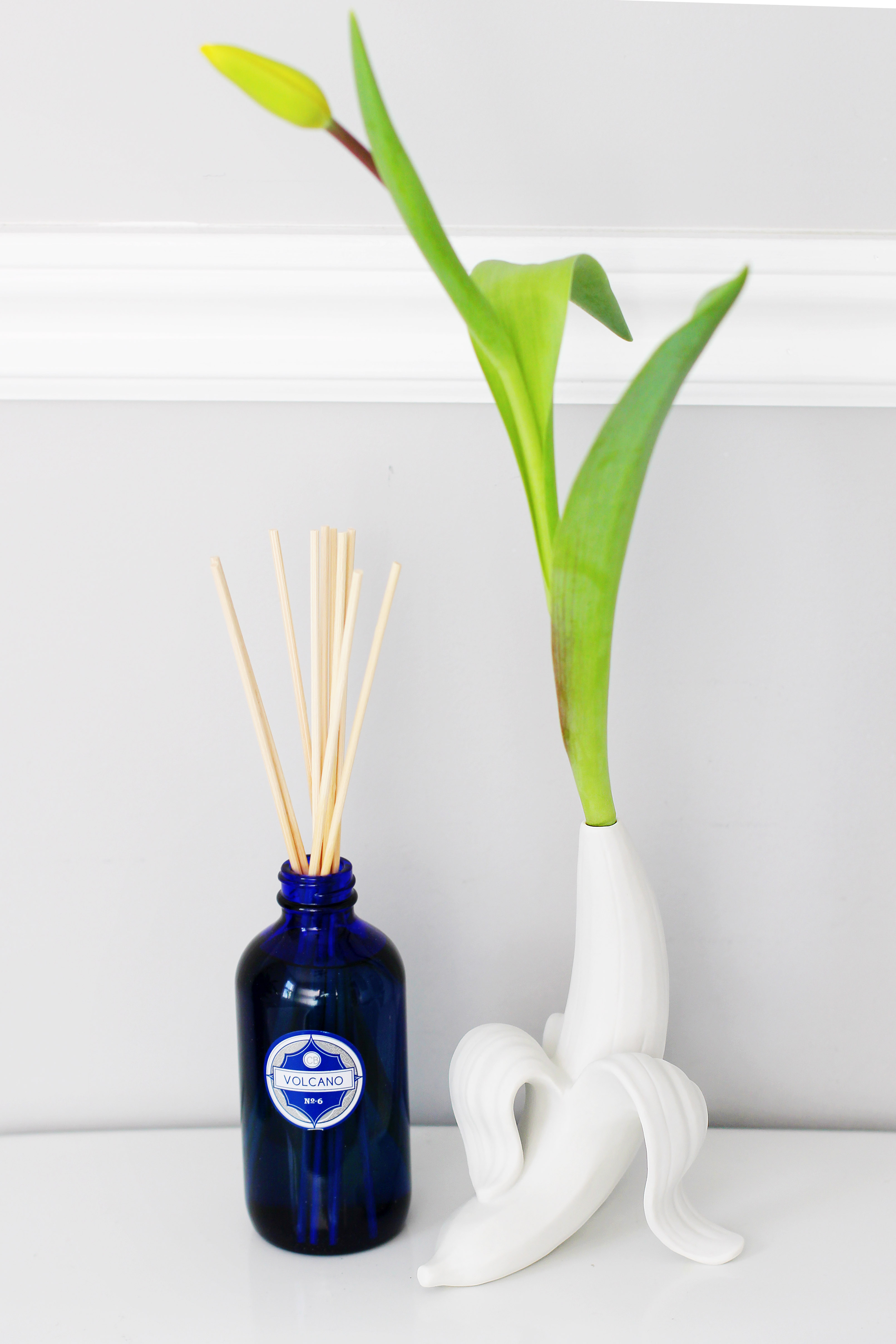 篮球比赛下注平台 - 附件|花器|办公家具|设计师家具|香蕉芽花瓶