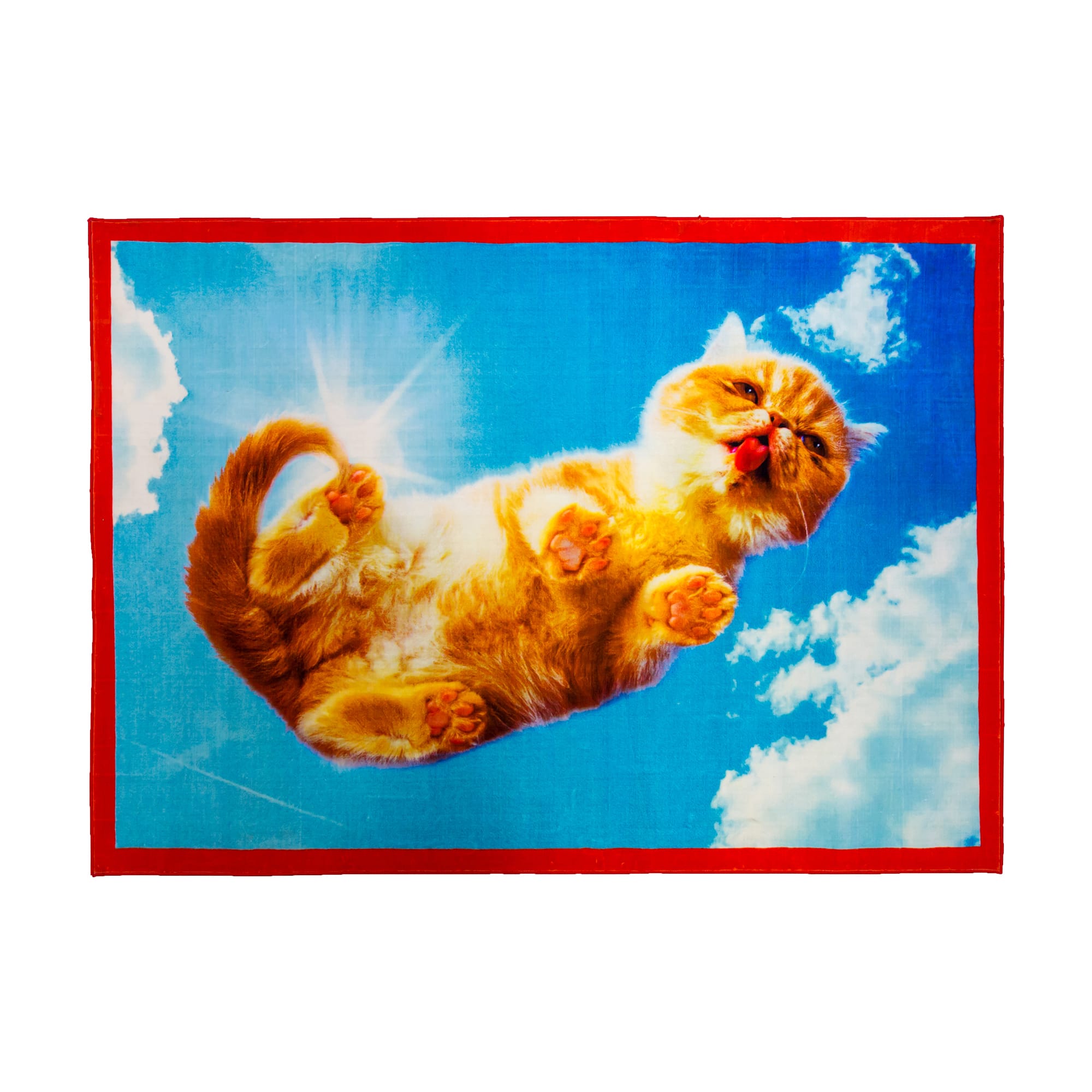 [篮球比赛下注平台 - 附件|地毯|办公家具|设计师家具|square cat]