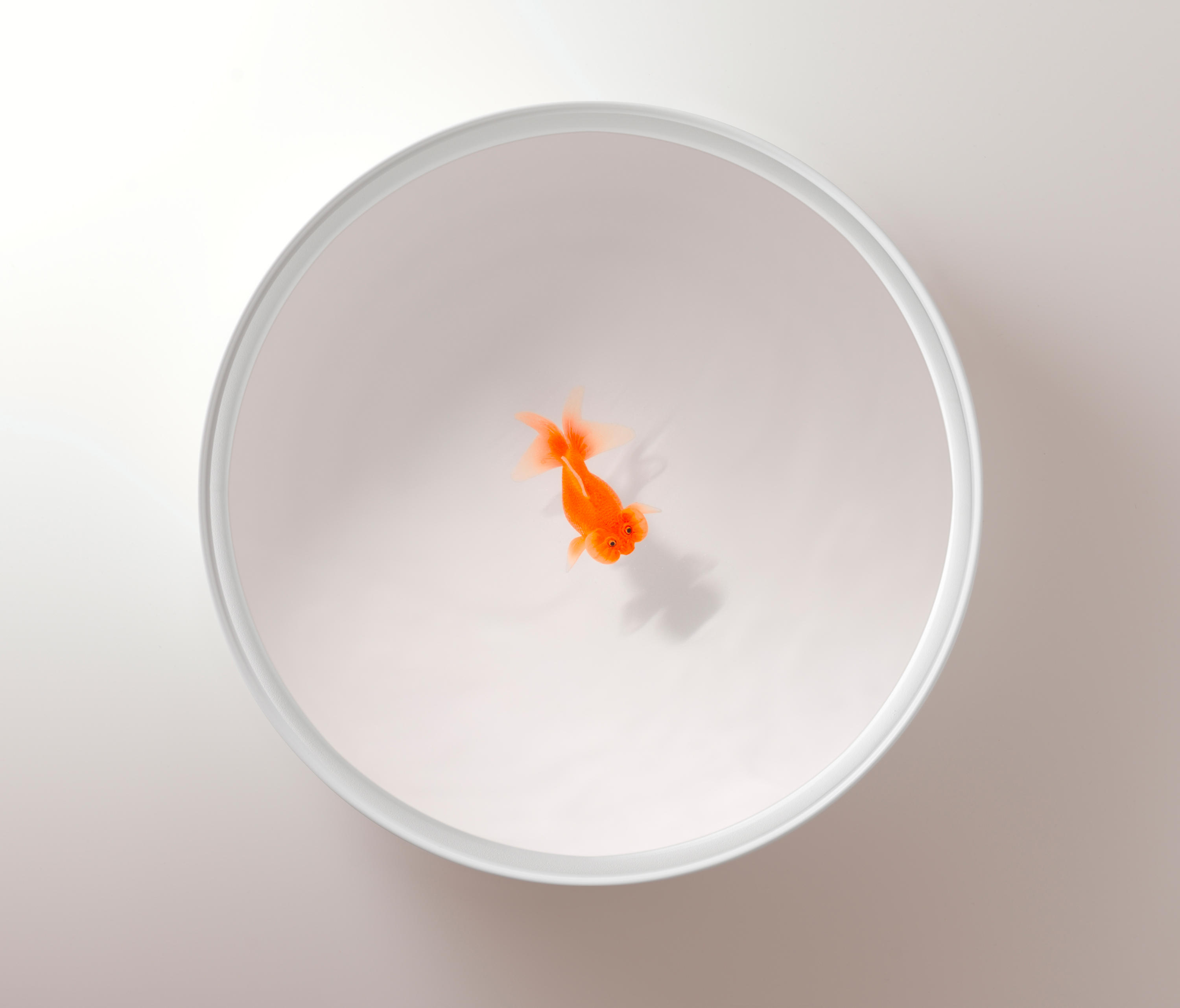 篮球比赛下注平台 - 桌几|茶几/边几|办公家具|设计师家具|Up in the Air 茶几/角几