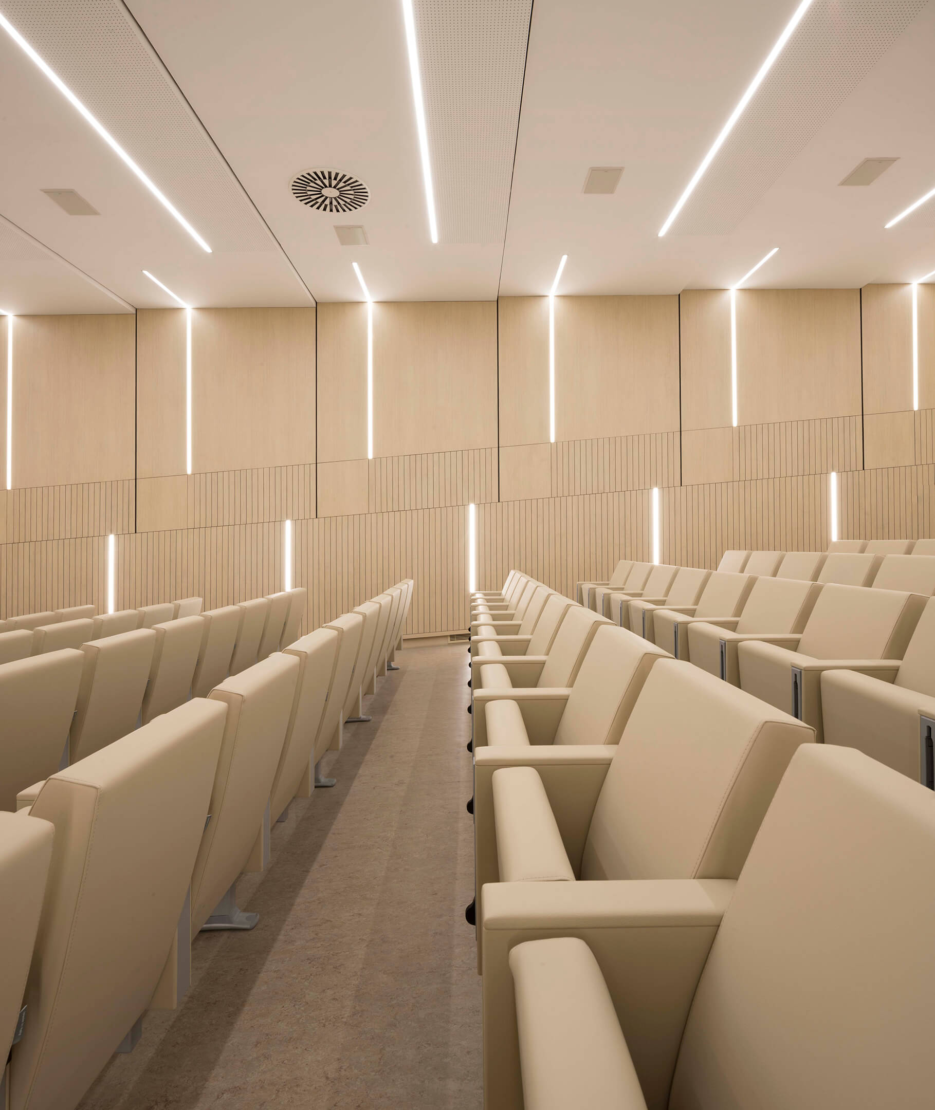 公共座椅|礼堂椅、报告厅椅|办公家具|设计师家具|C100 剧院/礼堂椅