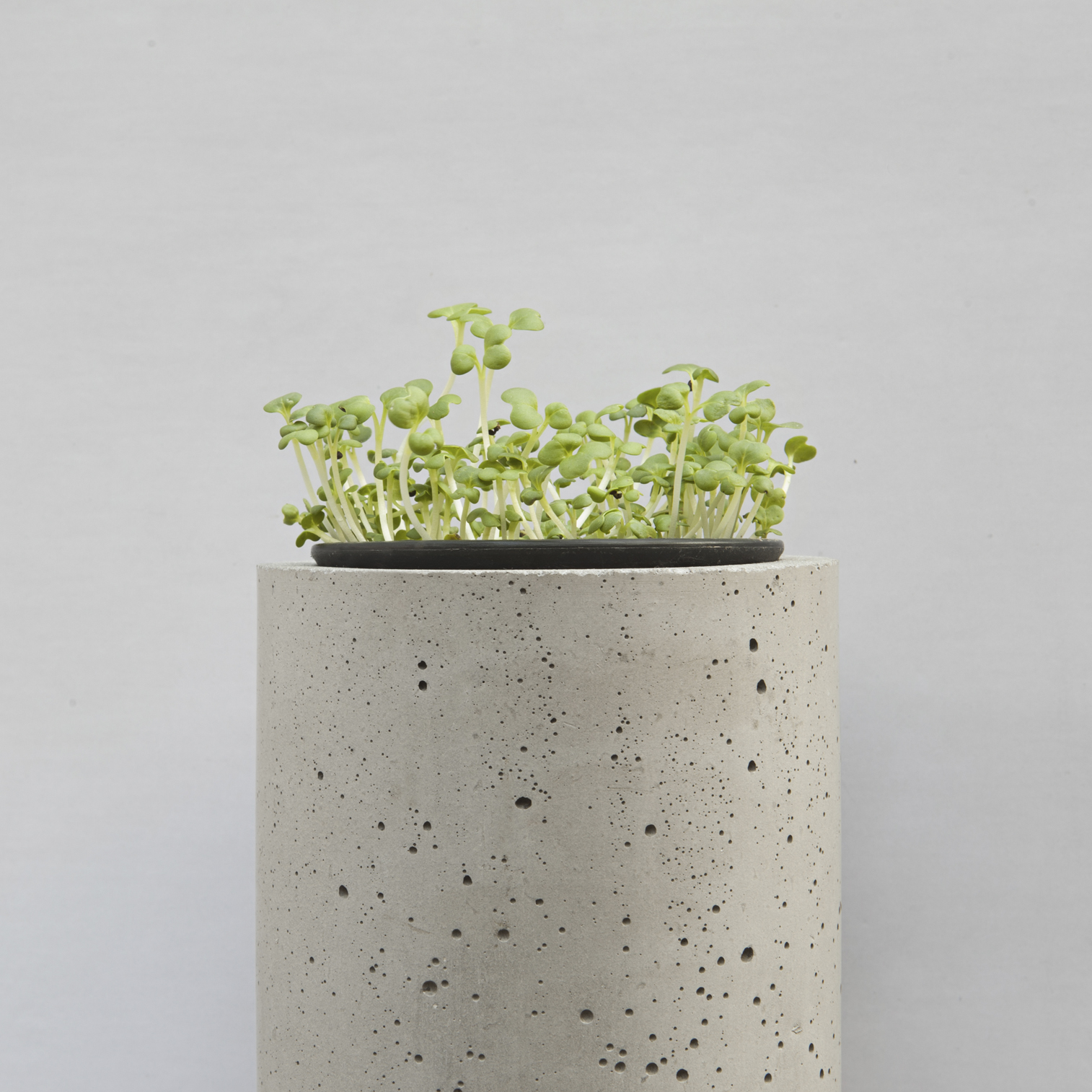 篮球比赛下注平台 - 附件|花器|办公家具|设计师家具|挂墙式花钵-杯