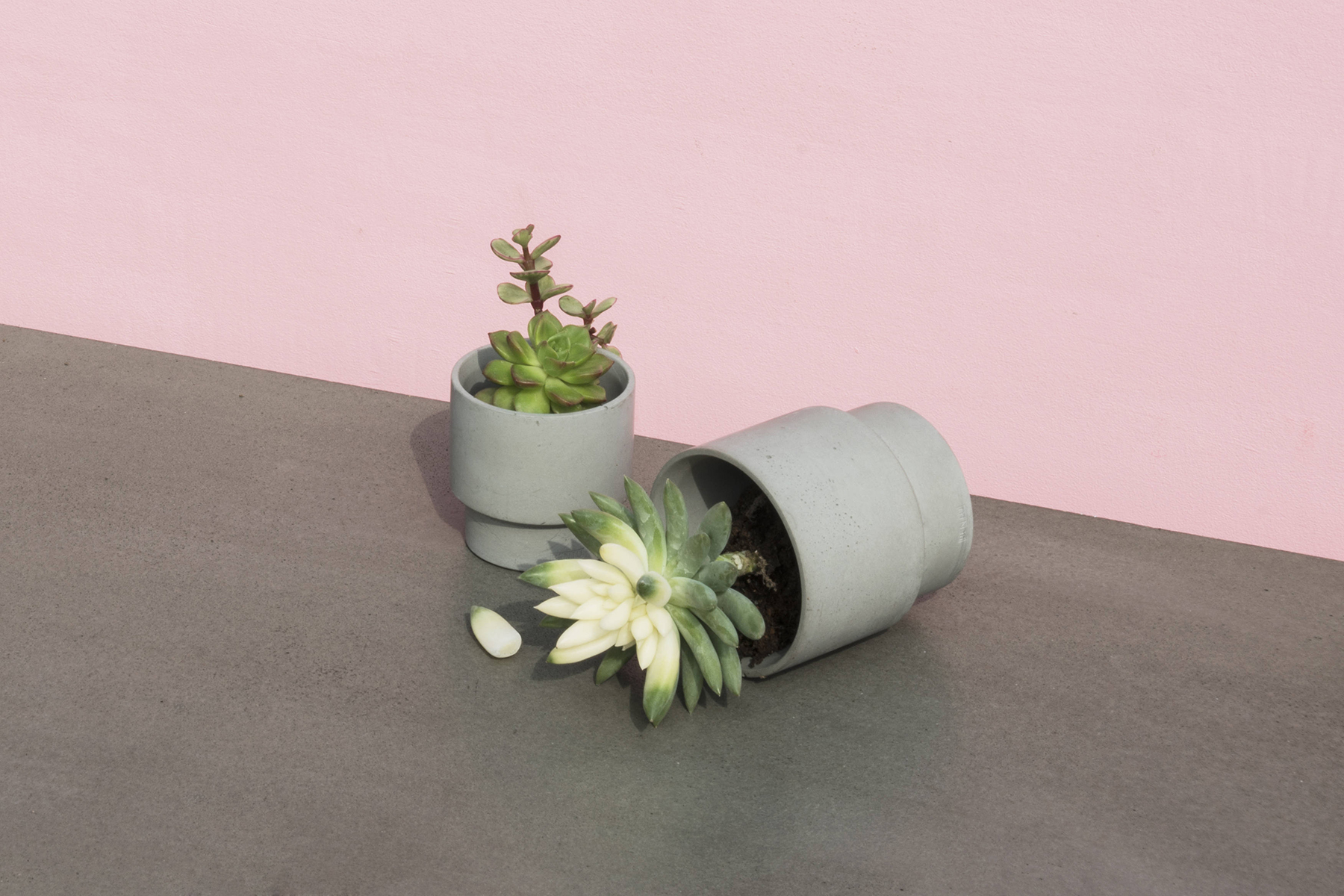篮球比赛下注平台 - 附件|花器|办公家具|设计师家具|花钵/蜡烛台-息