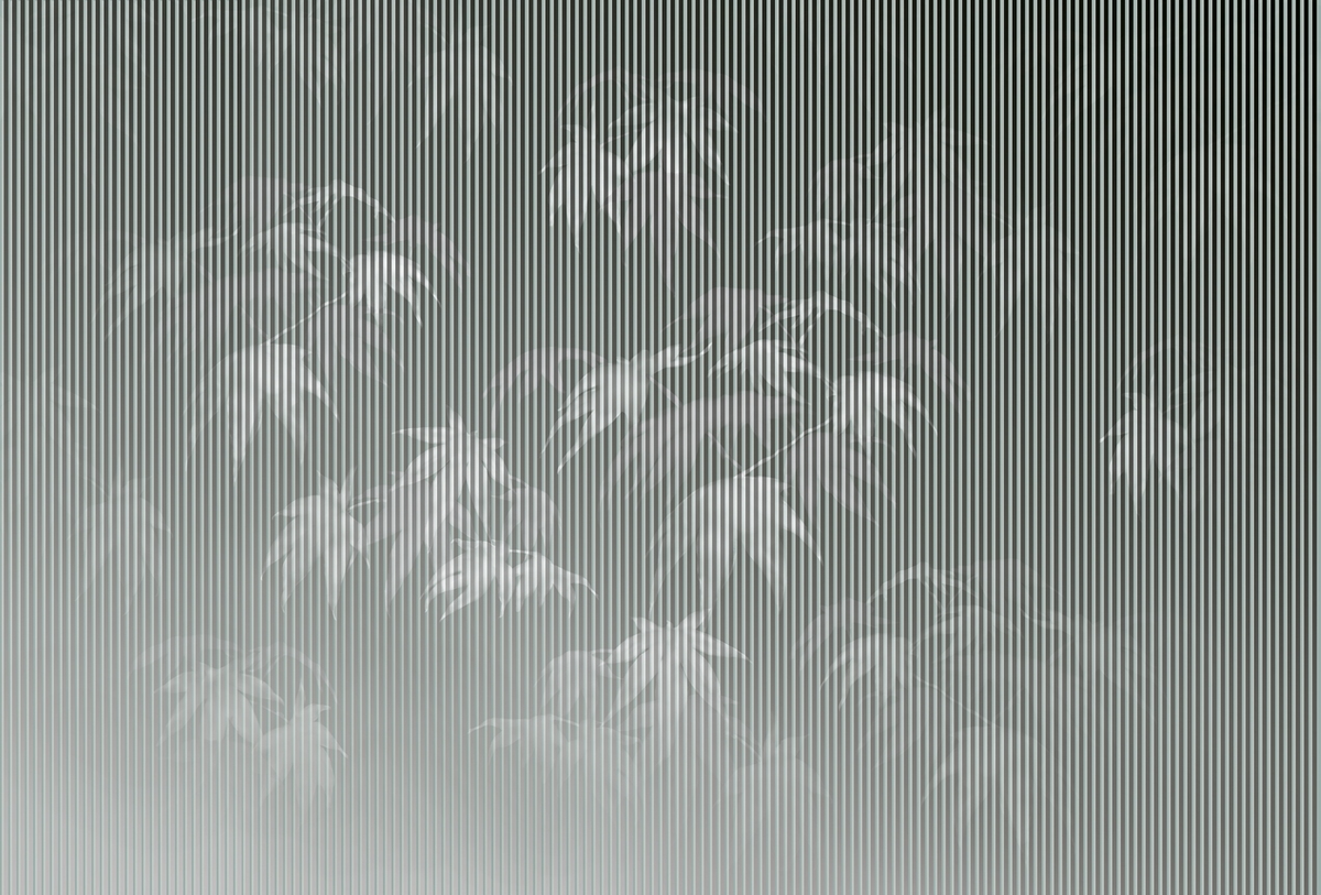 篮球比赛下注平台 - 附件|装饰画/墙饰|办公家具|设计师家具|枫叶-原创定制壁画