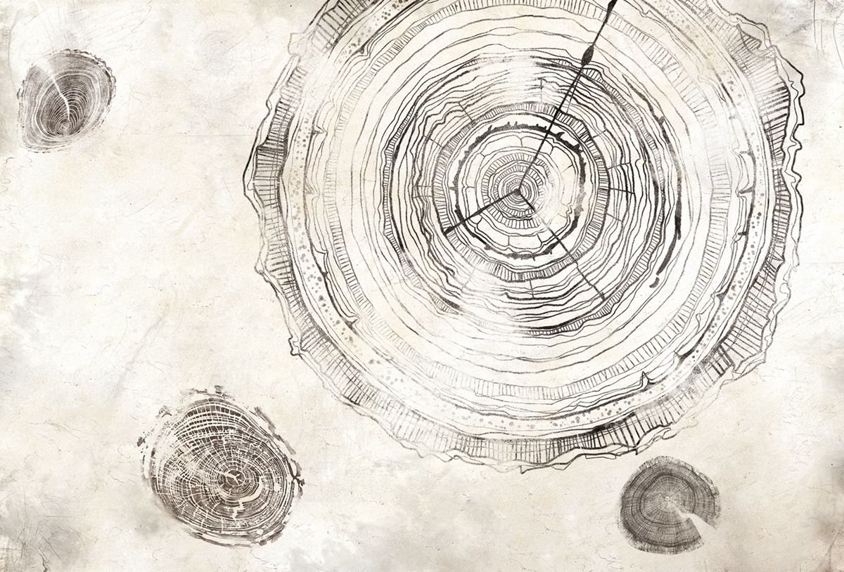 [篮球比赛下注平台 - 附件|装饰画/墙饰|办公家具|设计师家具|万物生长-原创定制壁画]