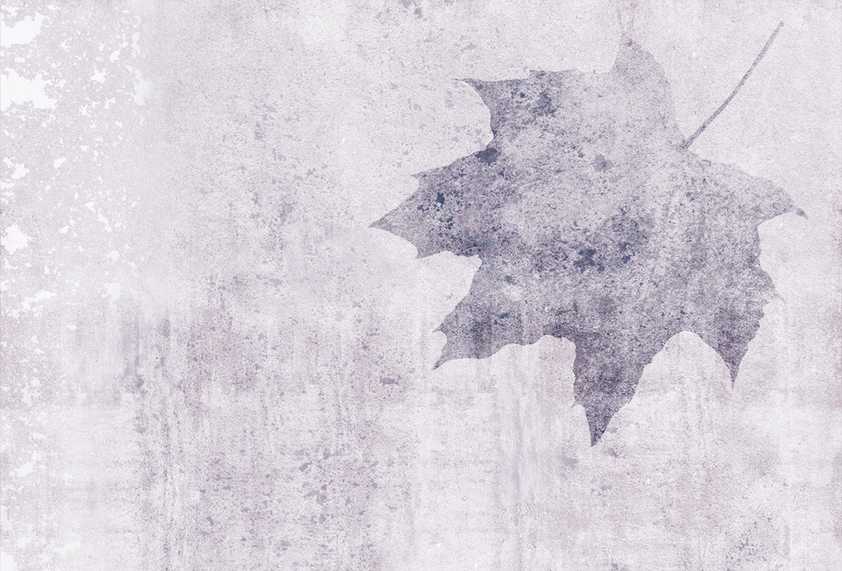 篮球比赛下注平台 - 附件|装饰画/墙饰|办公家具|设计师家具|枫叶-原创定制壁画